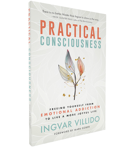 Practical Consciousness raamat Practical Consciousness raamat